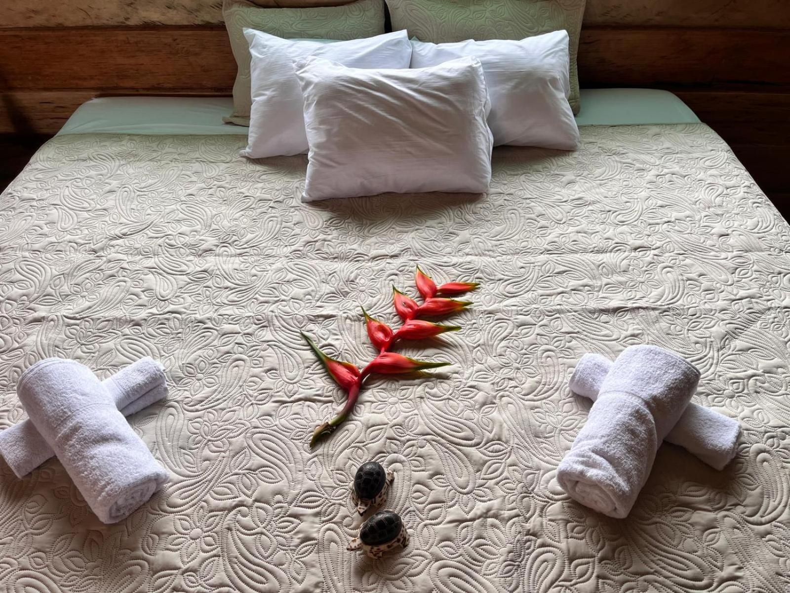 Purachata Ecolodge Iquitos Zewnętrze zdjęcie