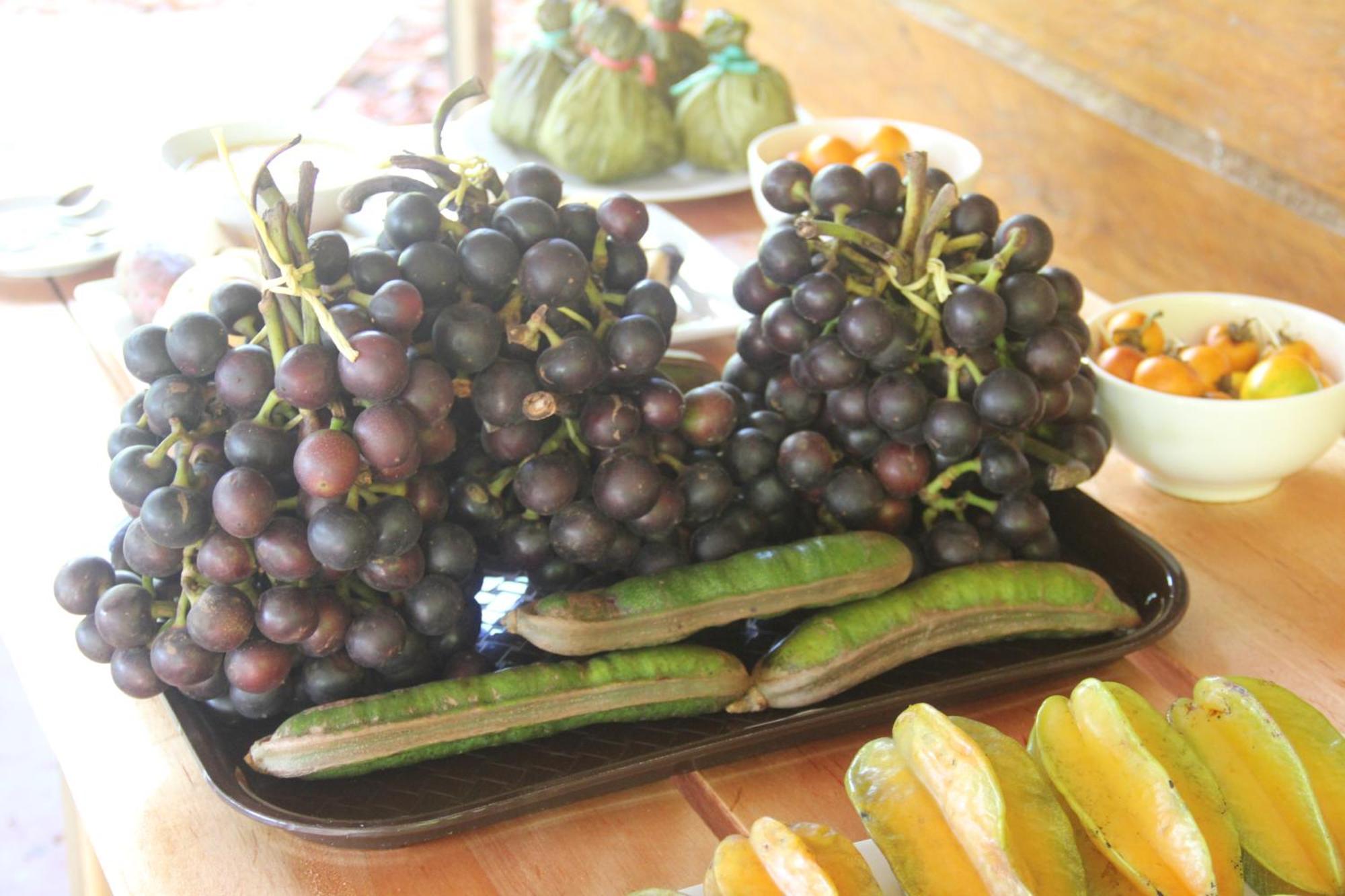 Purachata Ecolodge Iquitos Zewnętrze zdjęcie