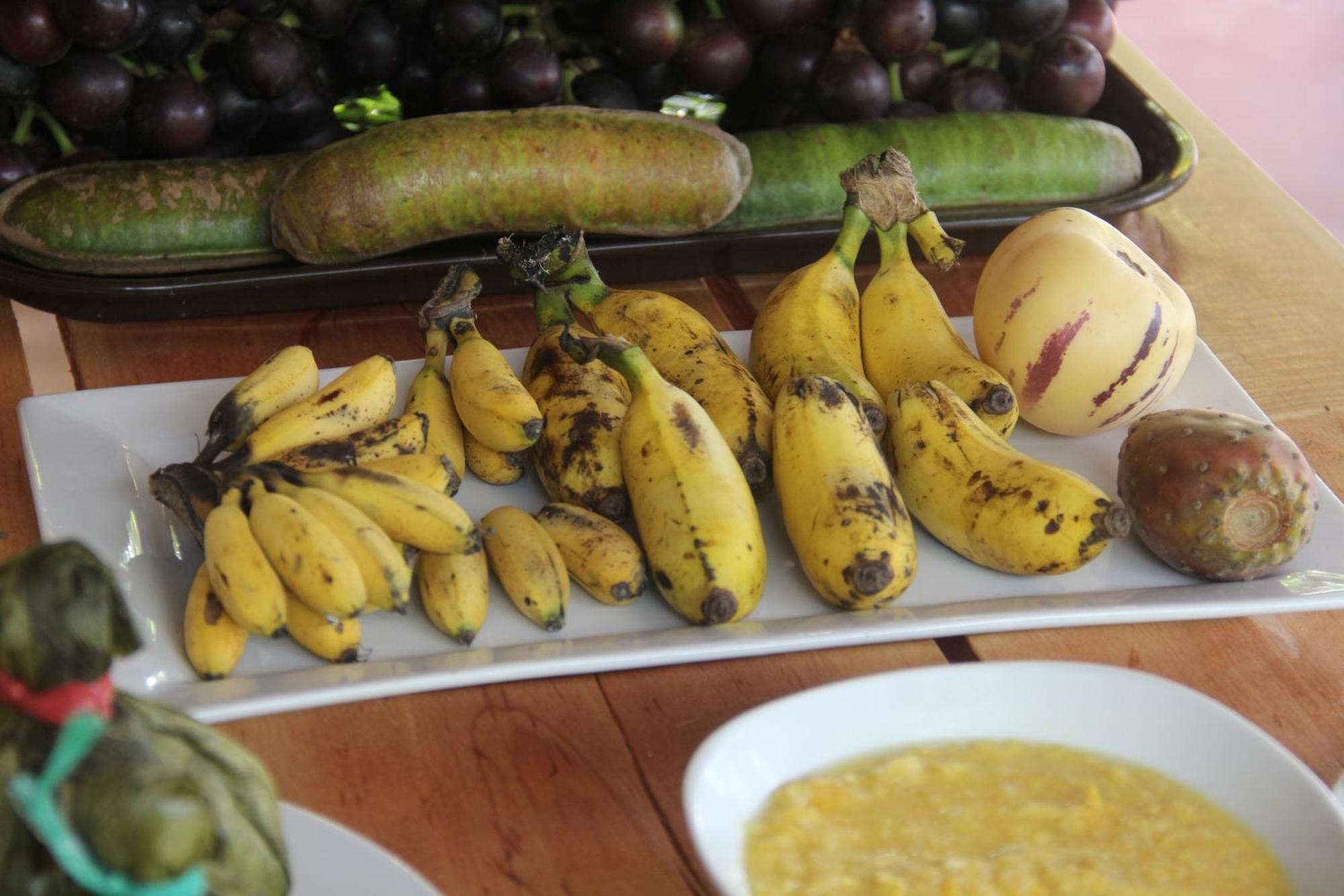 Purachata Ecolodge Iquitos Zewnętrze zdjęcie