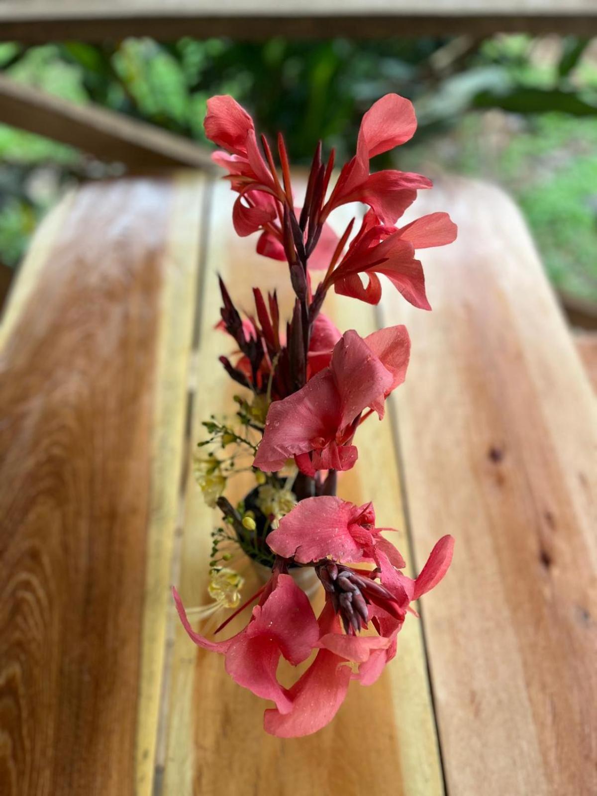 Purachata Ecolodge Iquitos Zewnętrze zdjęcie