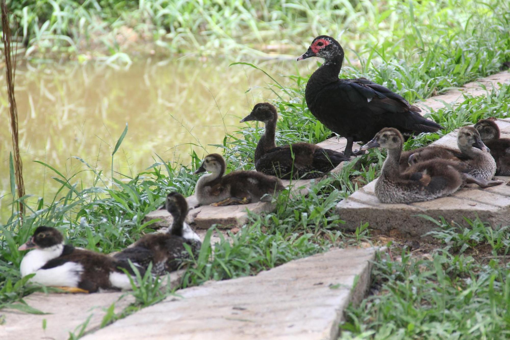 Purachata Ecolodge Iquitos Zewnętrze zdjęcie