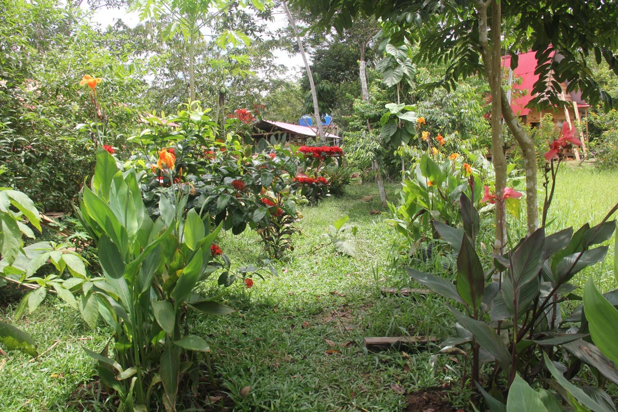 Purachata Ecolodge Iquitos Zewnętrze zdjęcie